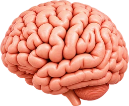 Critical thinking