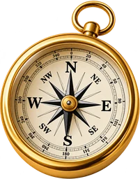 Vision Compass